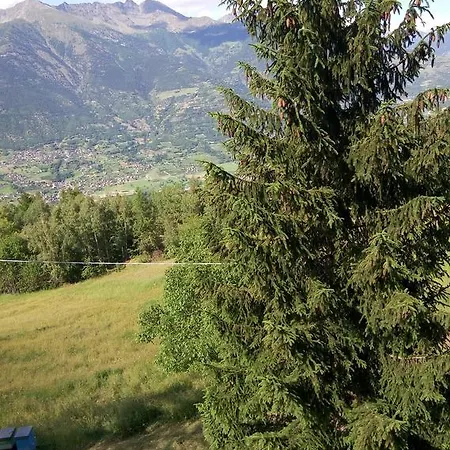 Casa Nel Bosco شقة