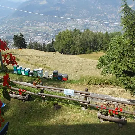 شقة Casa Nel Bosco *